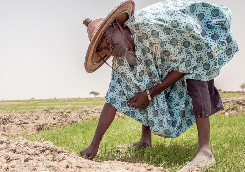 Sub-Saharan Africa faces grave hunger challenges in 2020: UN food relief agency