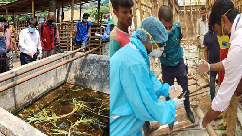 Dhaka North Corportation starts fighting against Dengue