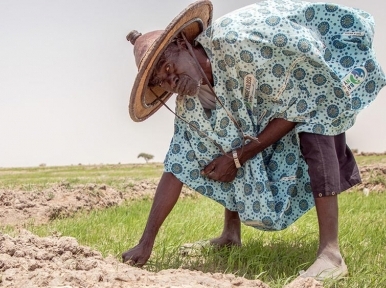 Sub-Saharan Africa faces grave hunger challenges in 2020: UN food relief agency