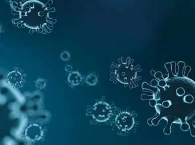 COVID19: 6 lakh people isolated in Malaysia