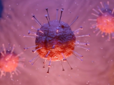 Pakistan: COVID 19 outbreak leaves doctor dead, reports of 'dirty' condition of Taftan camps emerge