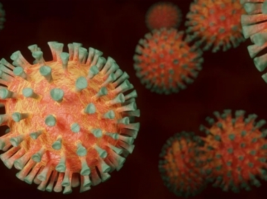 Bangladesh: COVID-19 infected doctor dies 