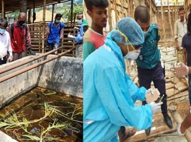 Dhaka North Corportation starts fighting against Dengue