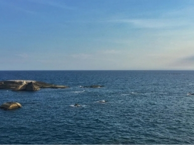 Expert alerts SE Asian countries to keep eye on China's Bihai 2020 before it turns to source of conflict