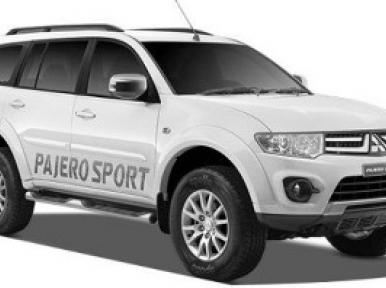 Limitations imposed on govt institutions in buying cars