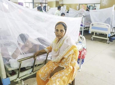 Dengue: At least 66 patients admitted to hospital in August 