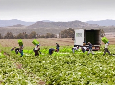 Greece to improve lives of Bangladeshi labourers 