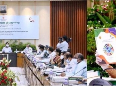 Freelancers to get recognition, PM Hasina to give monetary assistance to reopen closed cinemas 