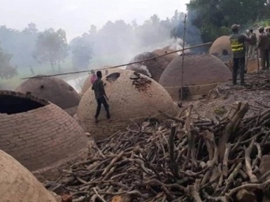 Forest department demolishes 14 kilns in Tangail