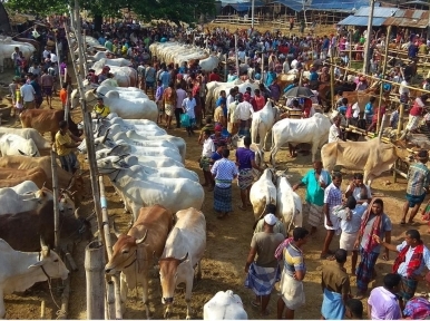 Number of COVID-19 patients may increase after Korbani Eid 