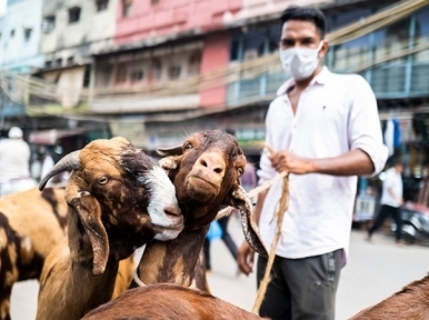 Animal sellers happy with business ahead of Eid