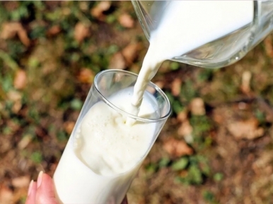 Milk not selling in Rs. 10 per litre 