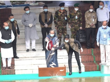 Bangladesh is self sufficient in producing fish: Hasina 