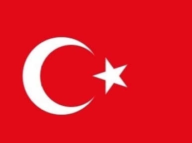 Turkey to raise Rohingya issue in UN