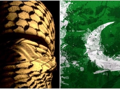 Pakistan continues to serve as a safe haven for terror groups: US State Dept