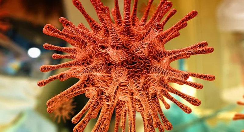 Bangladesh: Death toll due to COVID-19 touches 13