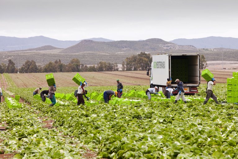 Greece to improve lives of Bangladeshi labourers 