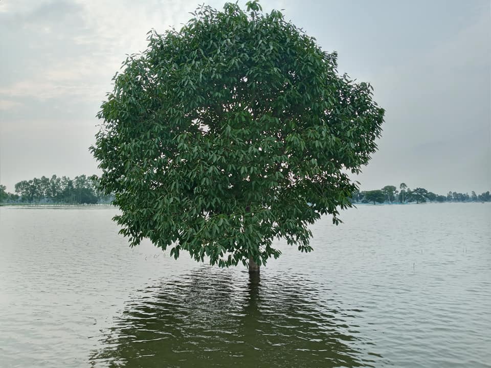 Bangladesh: Flood situation improves in many districts