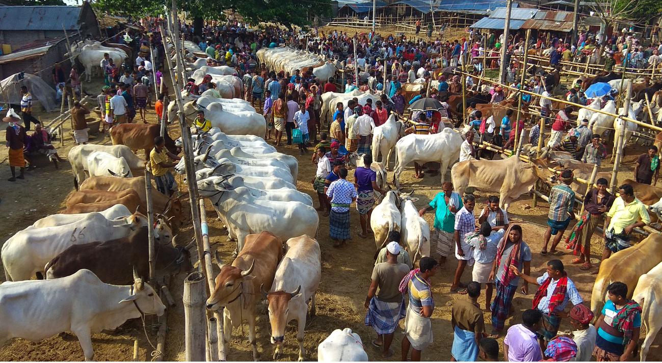 Number of COVID-19 patients may increase after Korbani Eid 