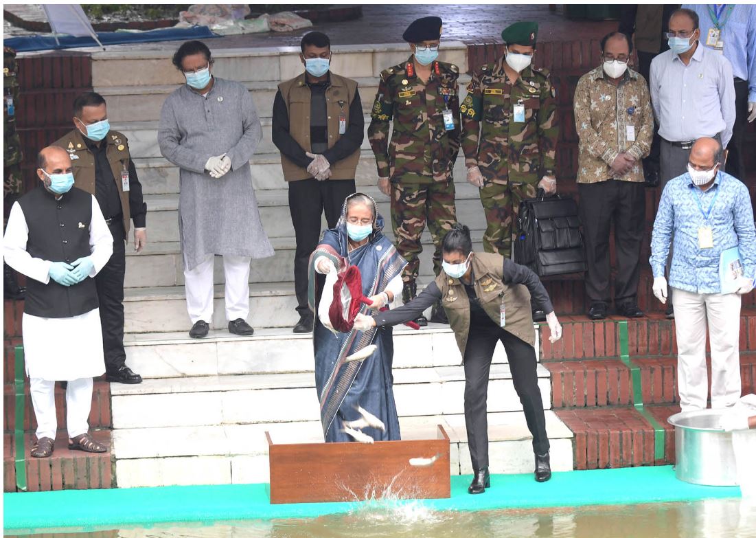 Bangladesh is self sufficient in producing fish: Hasina 