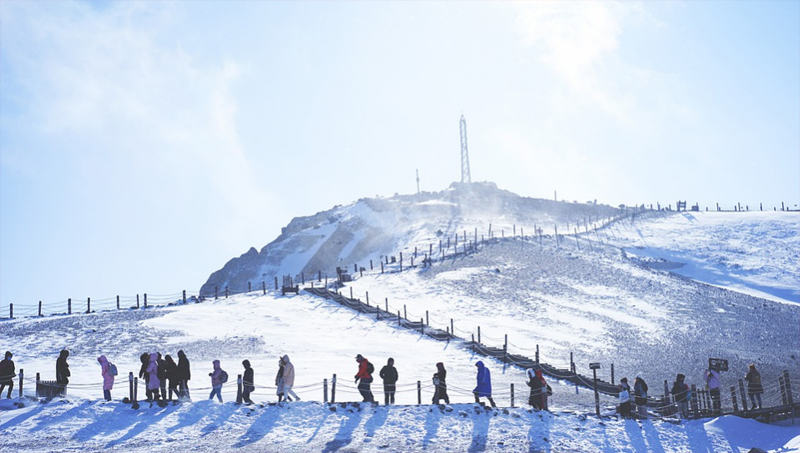 COVID-19 cases on the rise in China again 