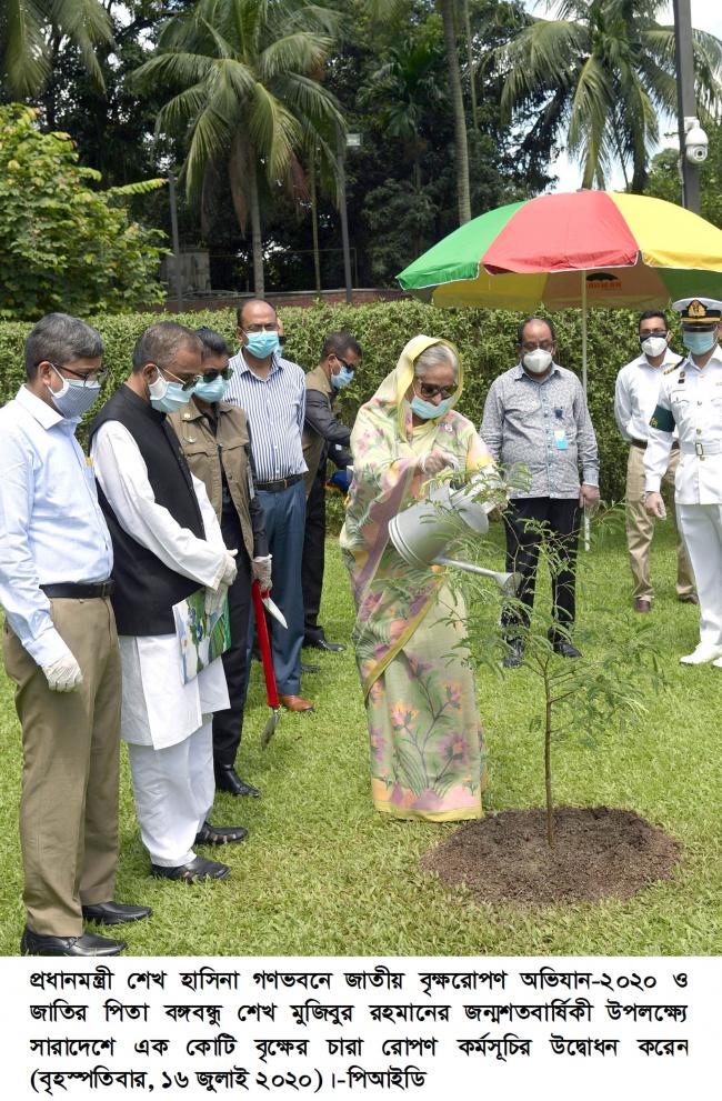বৃক্ষরোপণ অনুষ্ঠানে হাসিনা 