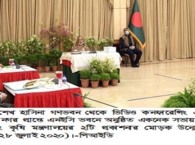 একনেক সভায় হাসিনা